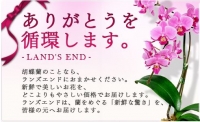 移転祝いにもらった胡蝶蘭のお世話が大変？即ランズエンドに相談です！