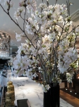 天気を気にせずオフィスでお花見！「桜の装飾inオフィス」！